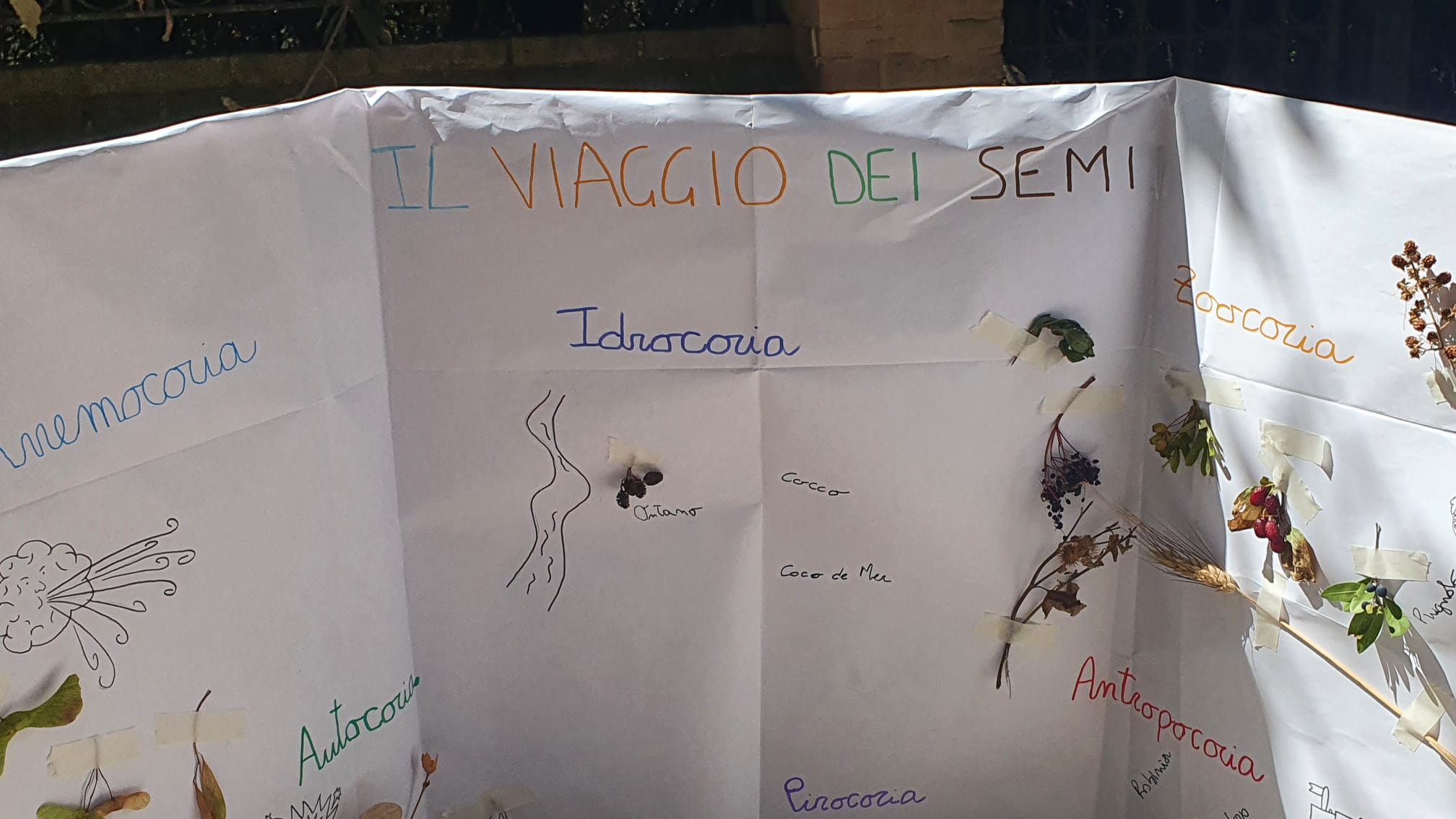 Laboratori di educazione ambientale whatsapp image 2026 08 30 at 13.19.30