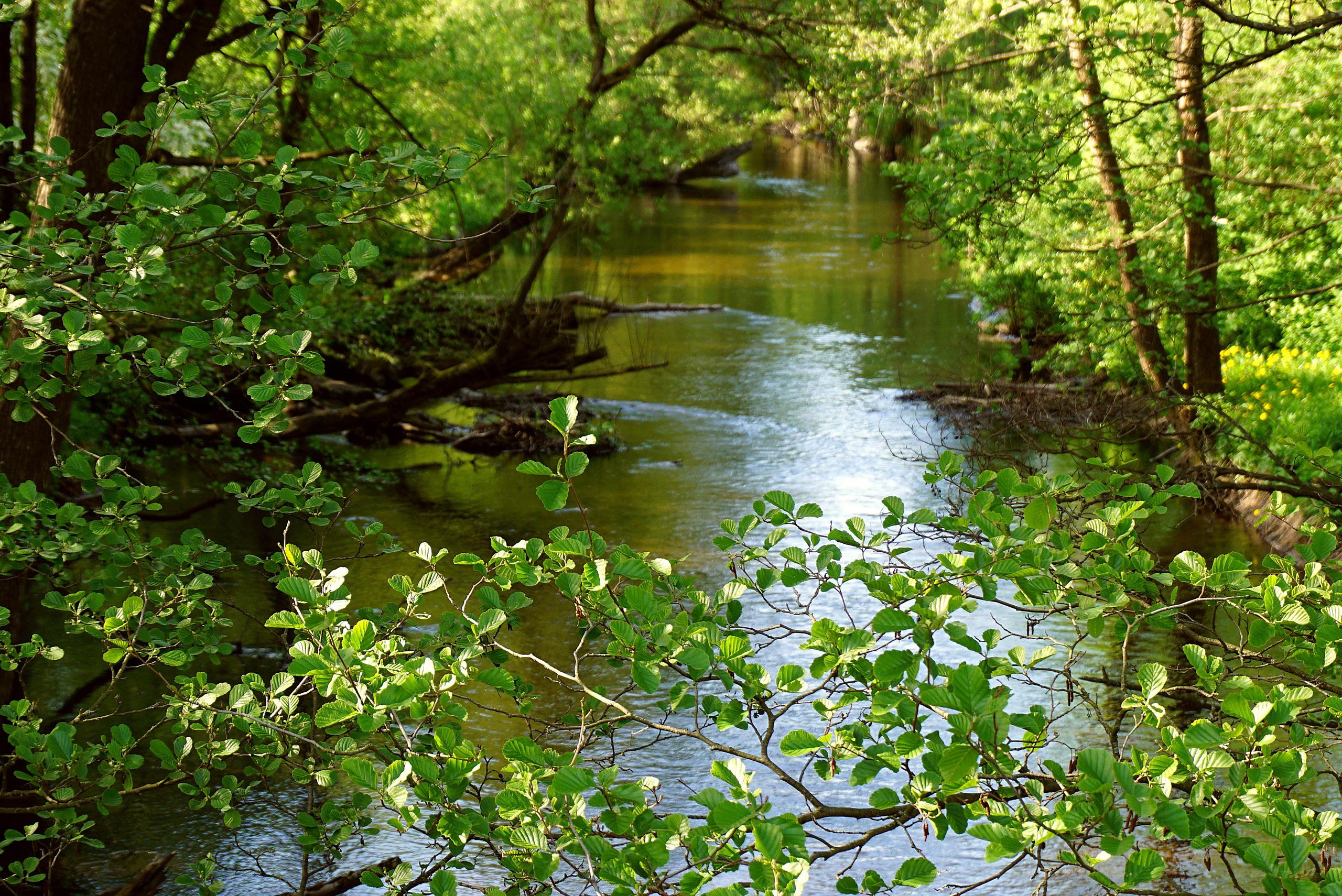Laboratori di educazione ambientale fiume